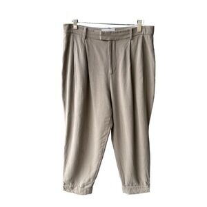 Everlane Pants Trousers Khaki Tan Pleated Tapered Lyocell Business Preppy Size 8
